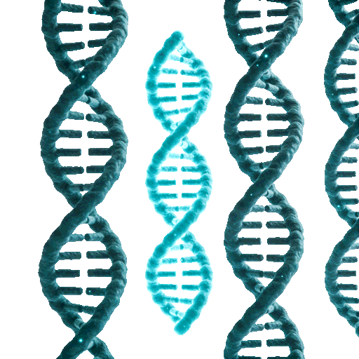 Genetiqo Dna Helix